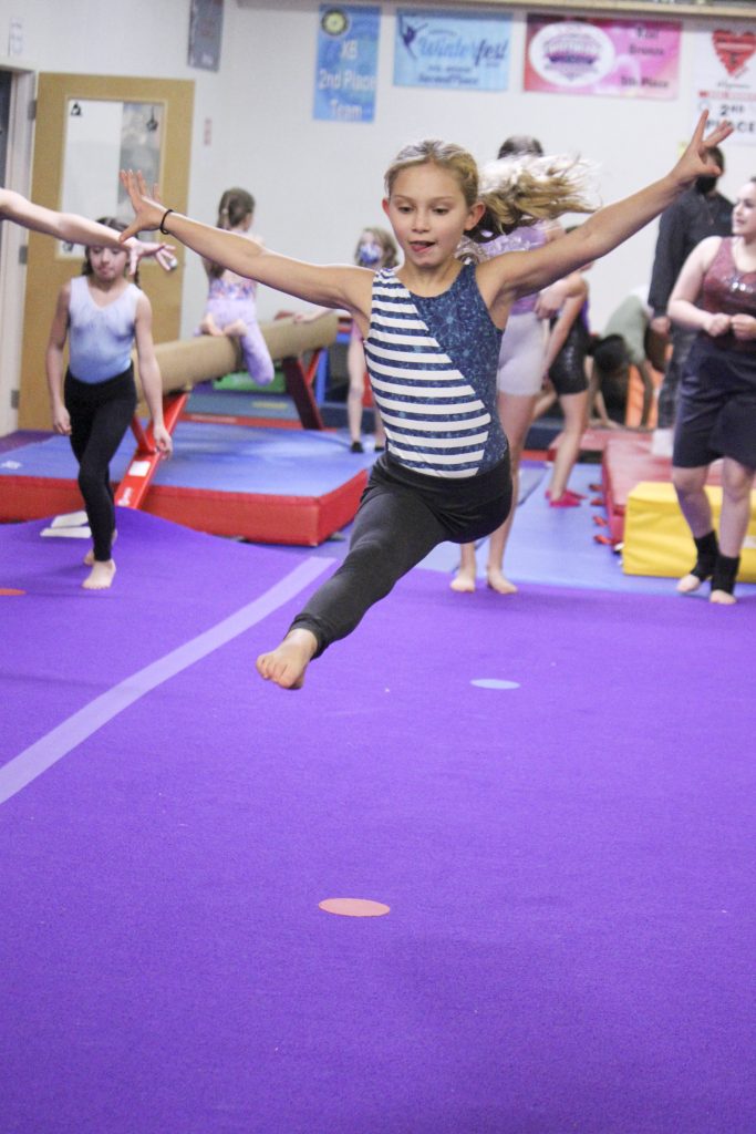 Schenectady Gymnastics Competitive Team