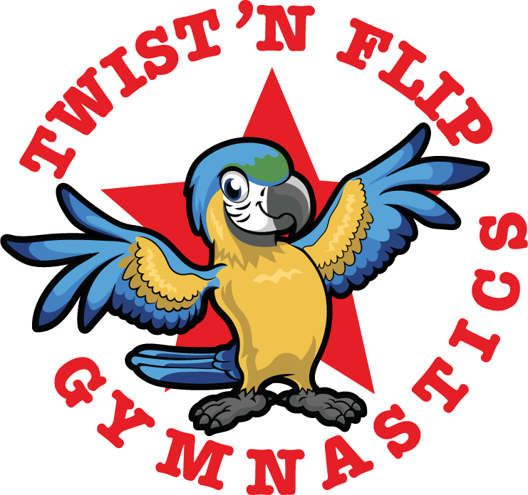 Gymnastics Albany, NY Birthday Parties Schenectady, NY | Summer Camp Schenectady, NY Gymnastics Classes